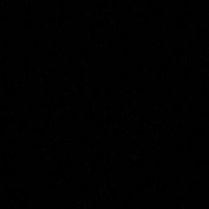 Meet your Posher, Dyl